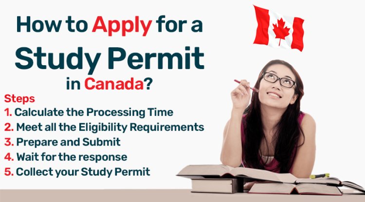 How to Apply for a Study Permit in Canada? - University Bureau