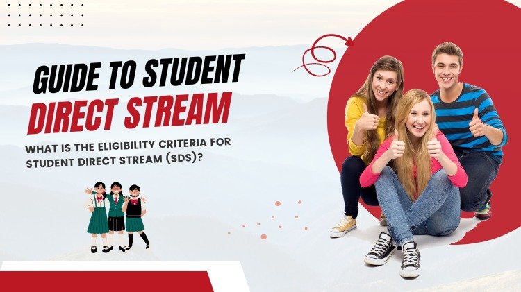 What is Student Direct Stream? A Comprehensive Guide