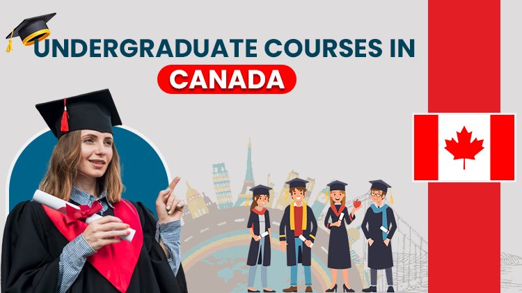 Undergraduate Courses In Canada