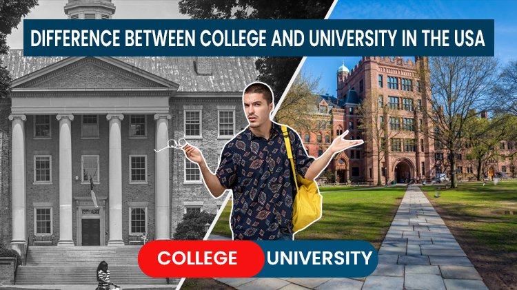 Difference Between College And University In The USA
