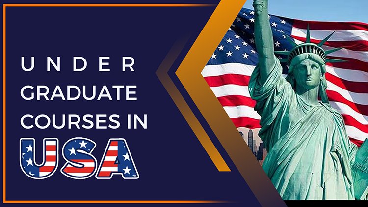 Undergraduate Courses In USA