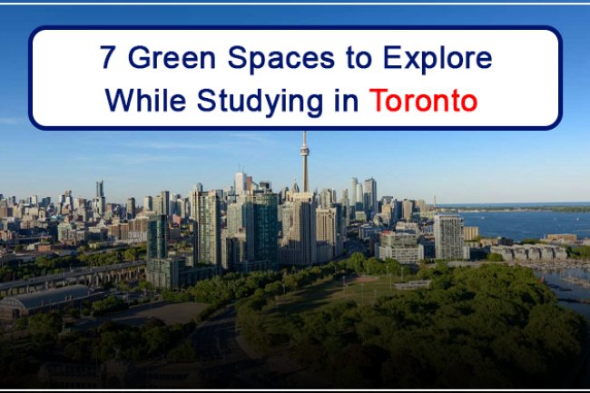 7 Green Spaces to Explore While Studying in Toronto