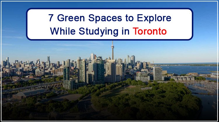 7 Green Spaces to Explore While Studying in Toronto